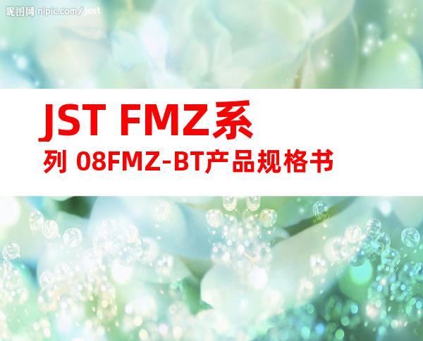 JST FMZ系列 08FMZ-BT产品规格书